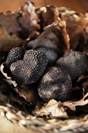Truffes noires