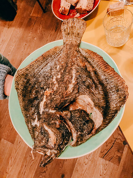Turbot YEAST.jpeg