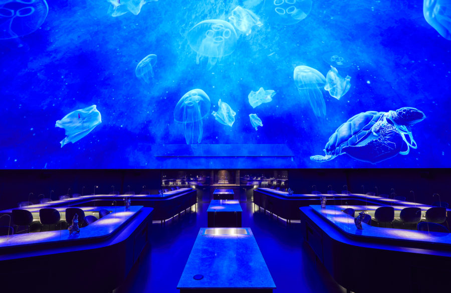 Dome Under Water