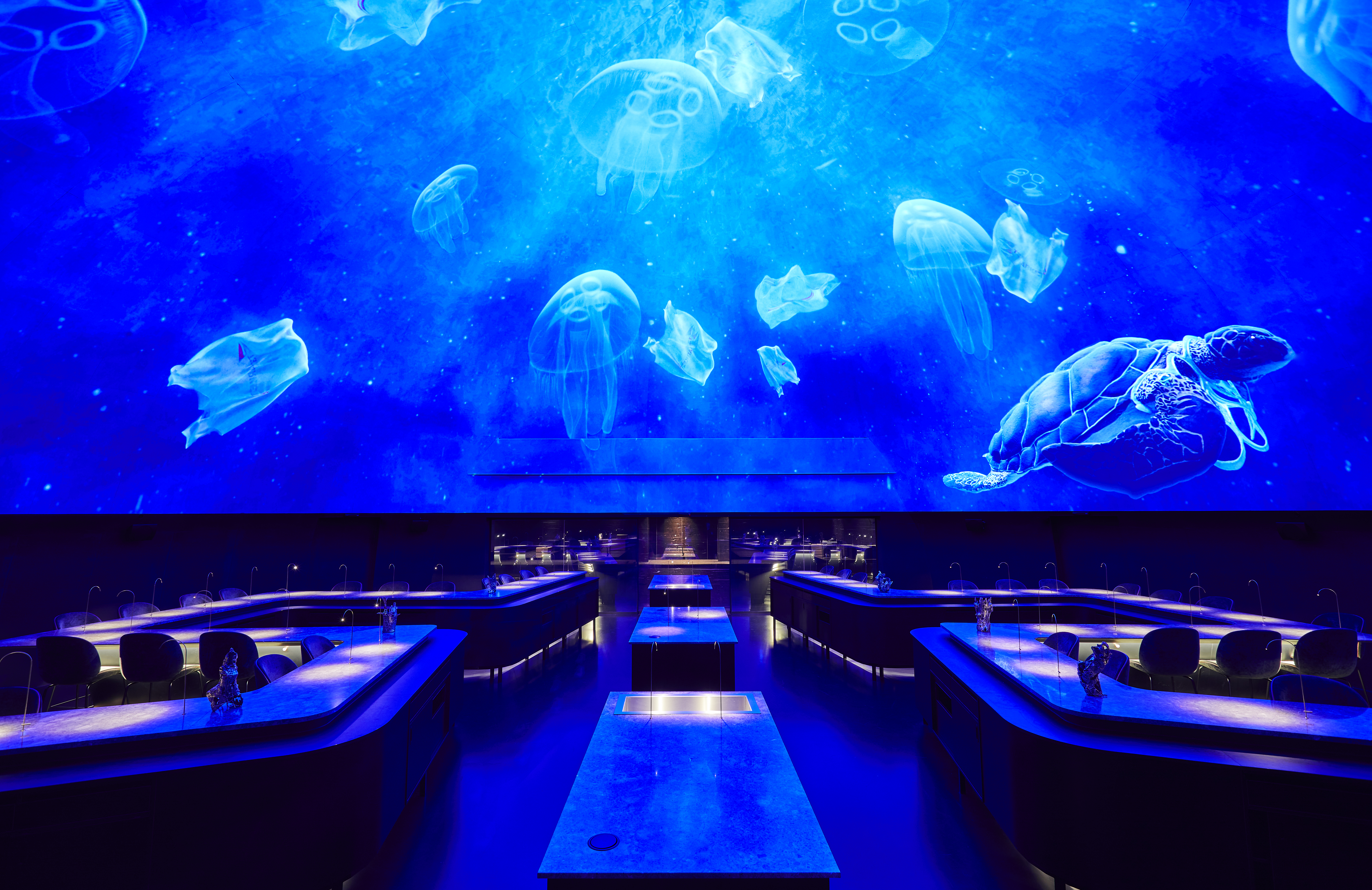 Dome Under Water