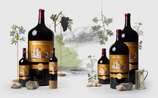 Ducru-Beaucaillou accueille Baghera/wines