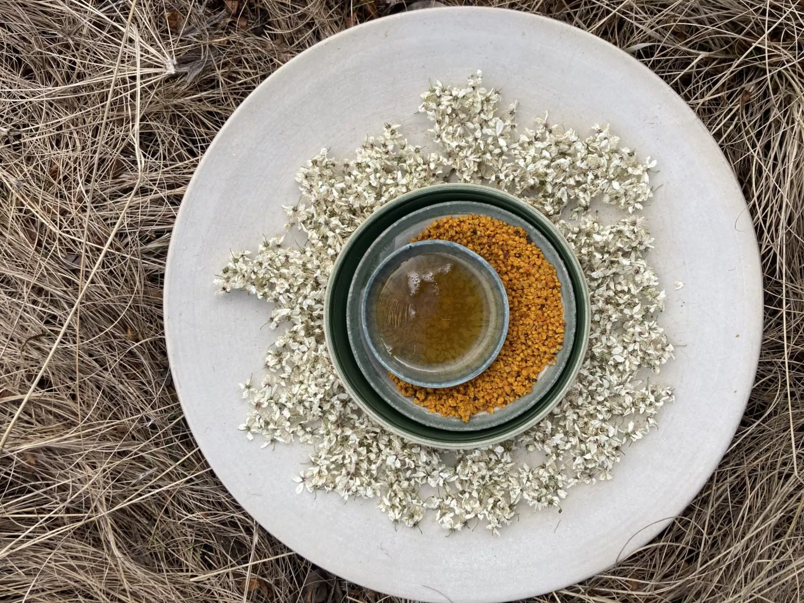 Fermentation conference at Refettorio