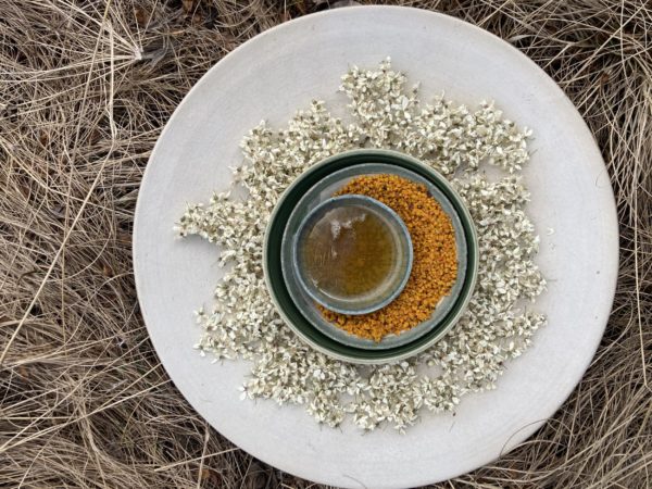 Conférence sur la fermentation au Refettorio
