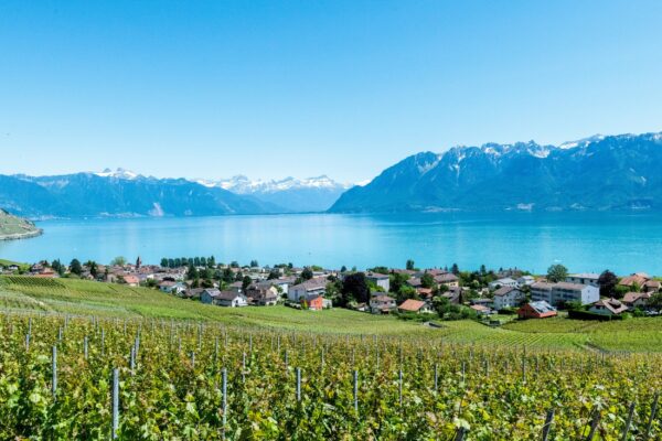 Unplugged 2026 : grands vins, vraies rencontres