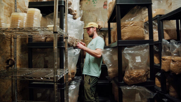 BROCO ouvre les portes des artisans