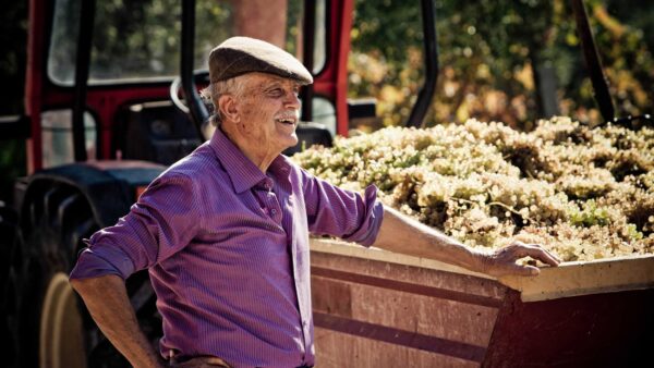 Disparition d&rsquo;Emidio Pepe, légende du vin italien