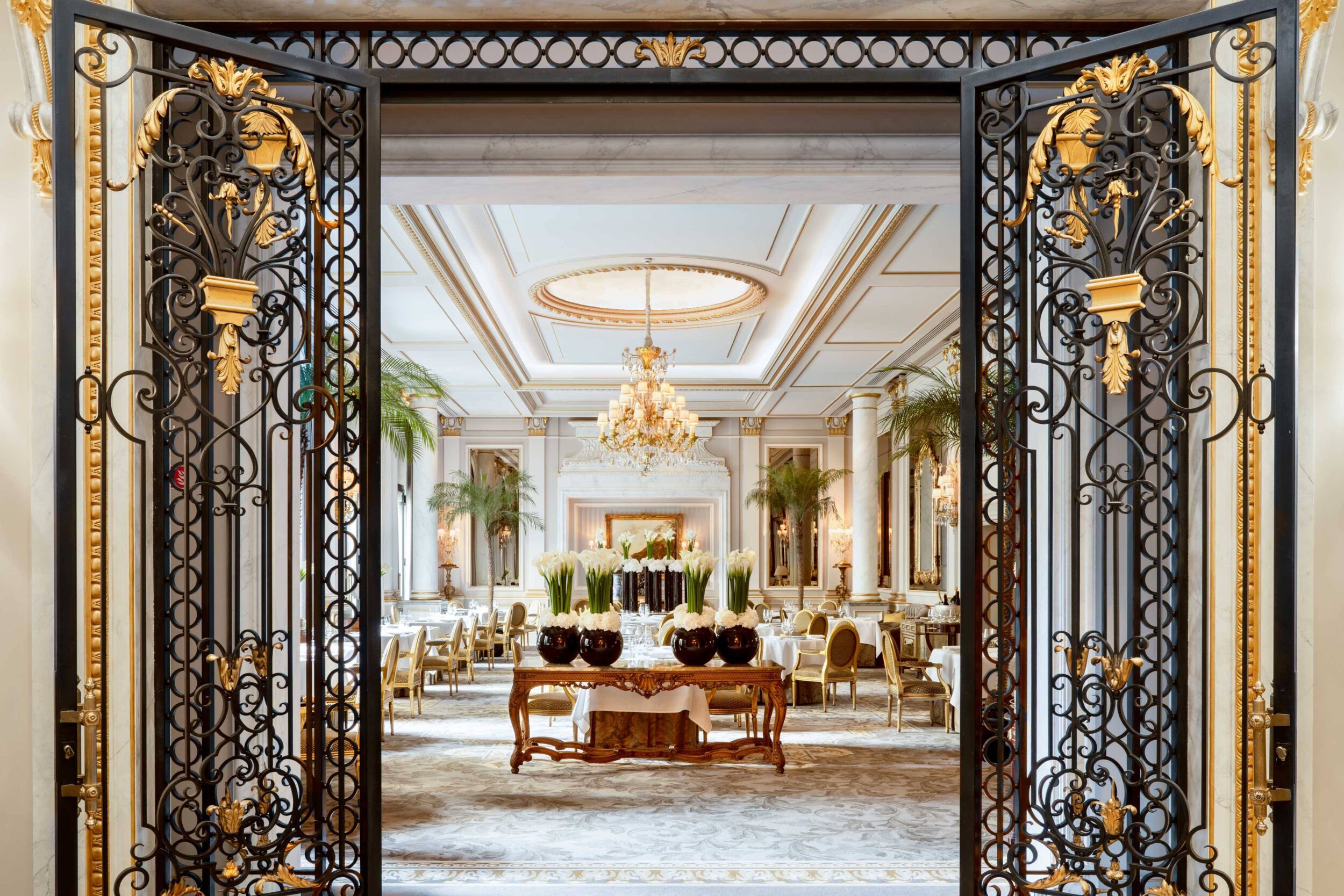 Le Cinq Restaurant©Peter Vitale.jpg