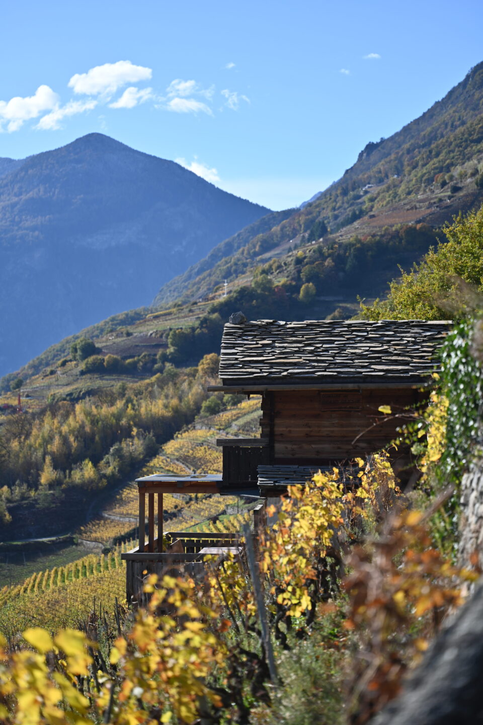 Le Chalet automne
